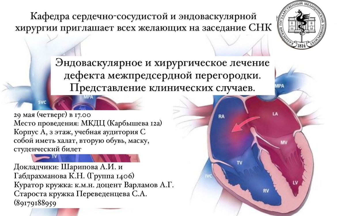 Заседание СНК 5