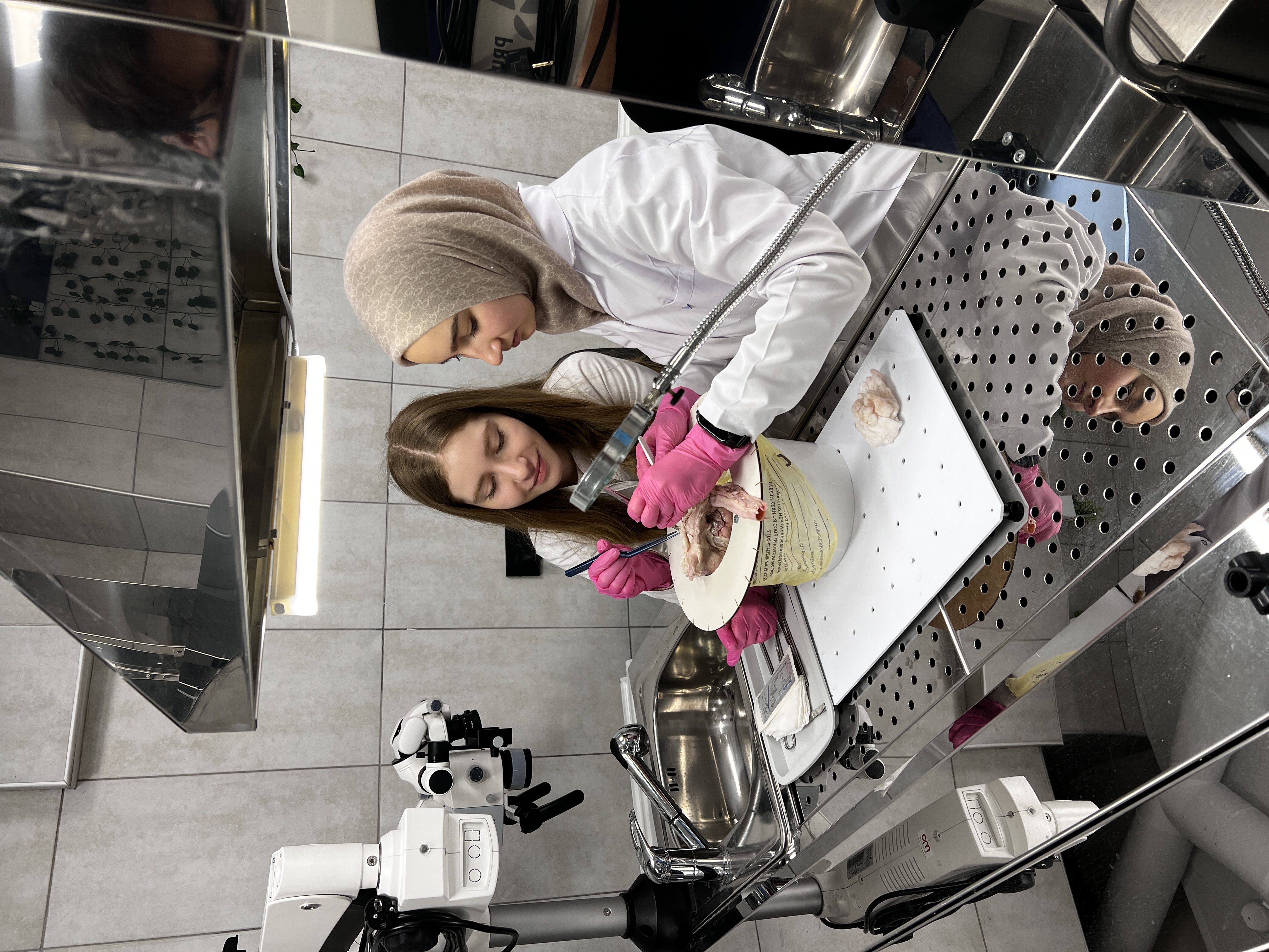 Описание фото