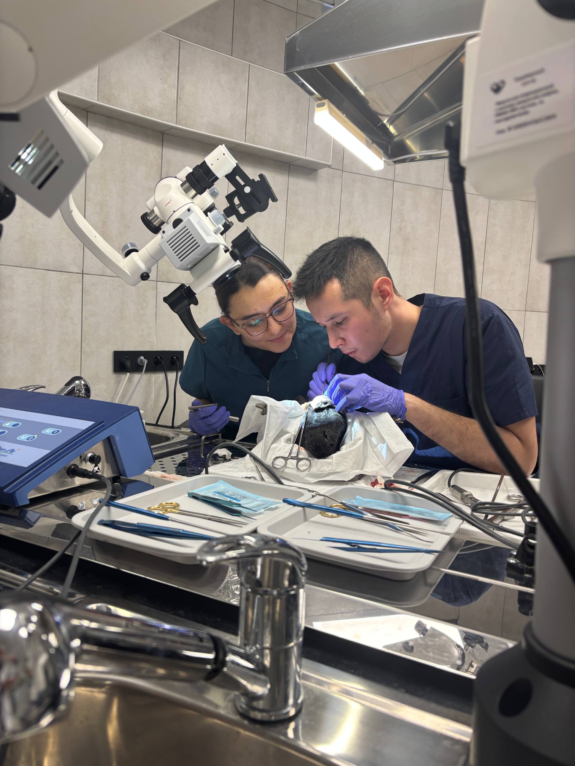 Описание фото