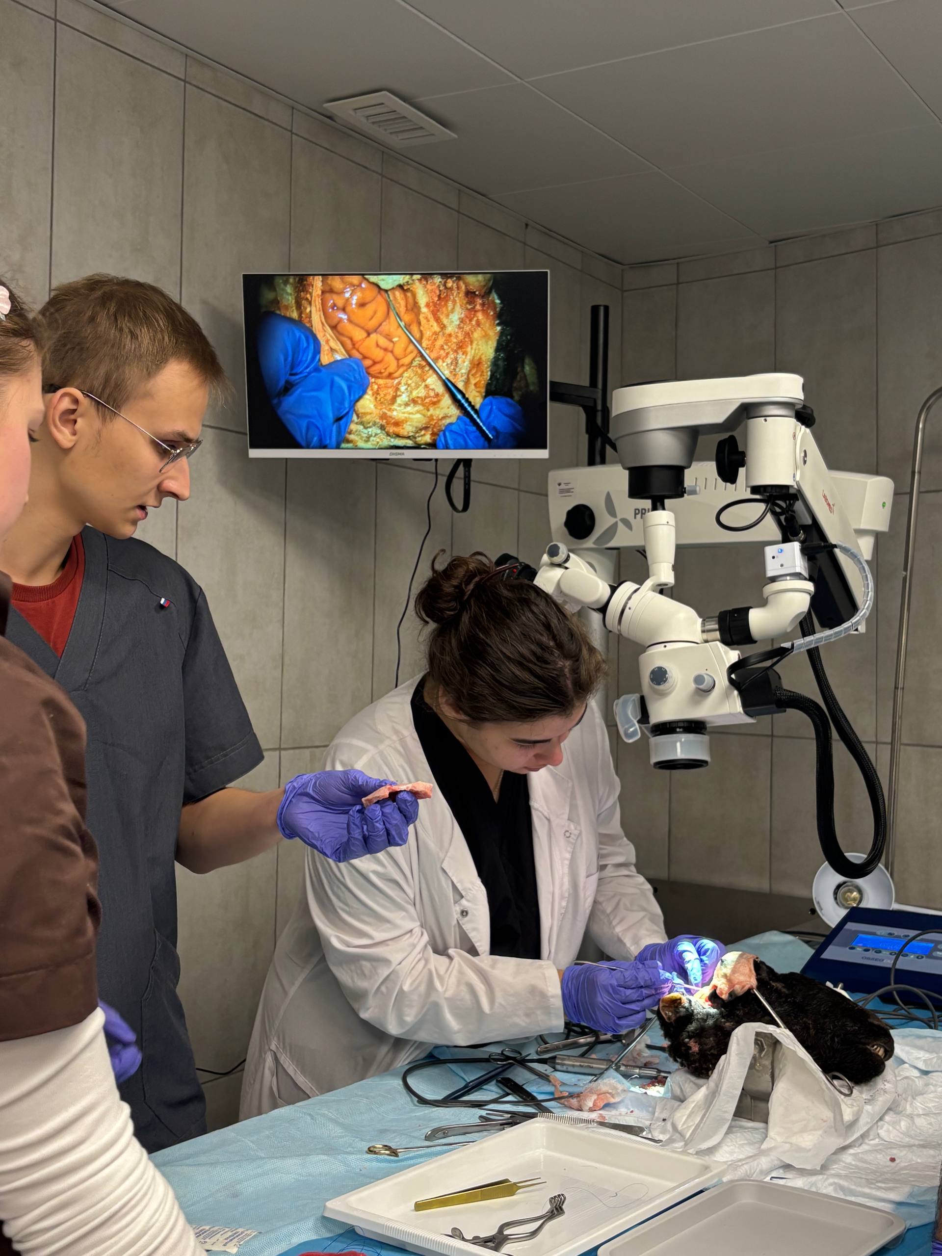 Описание фото