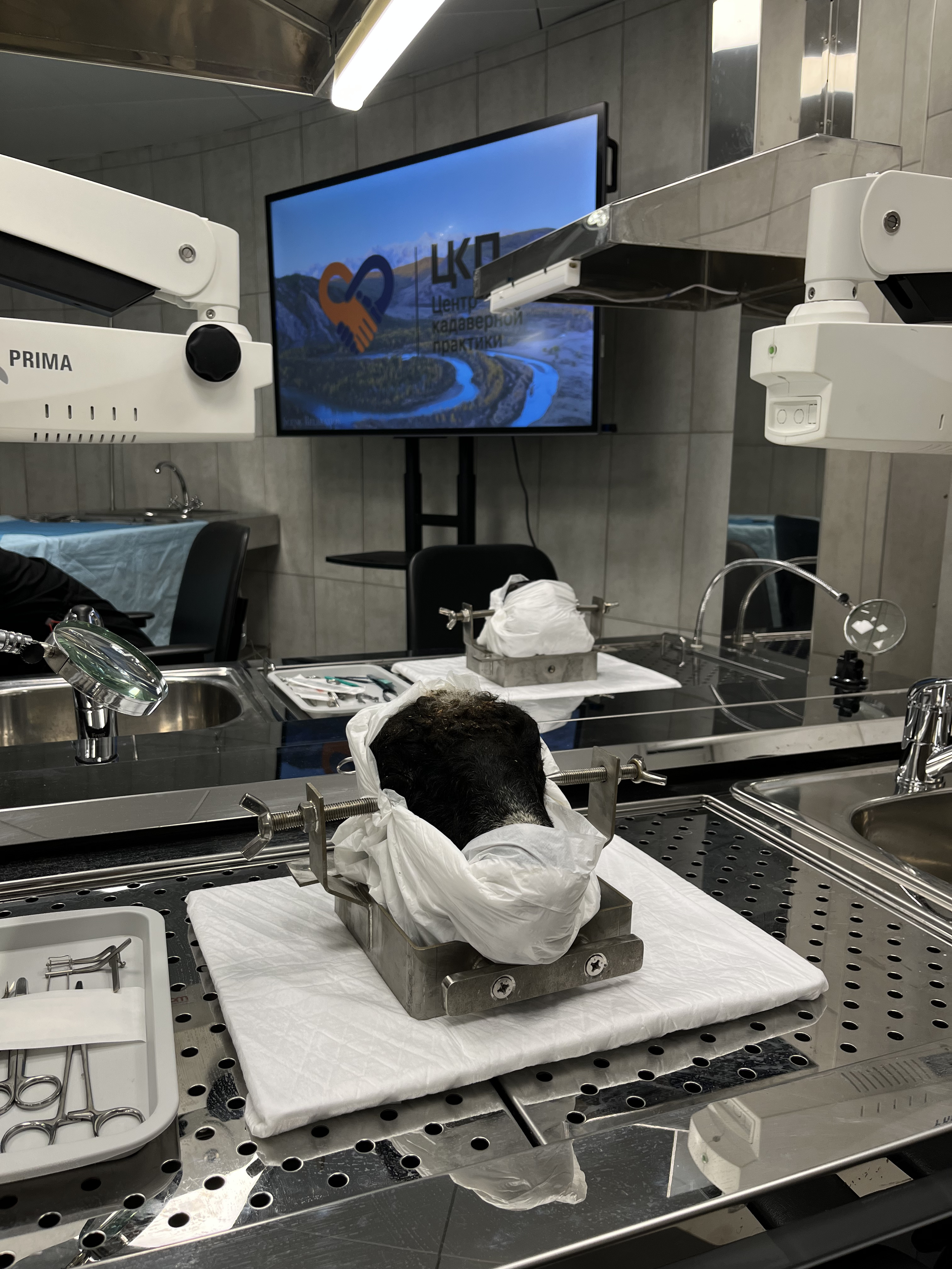 Описание фото